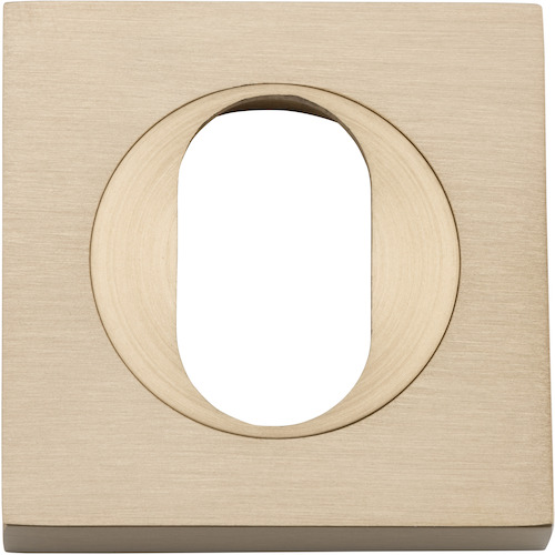 20106 - Oval Escutcheon -  Square - Brushed Brass