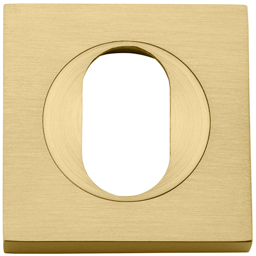 17131 - Oval Escutcheon - Square - Brushed Gold PVD